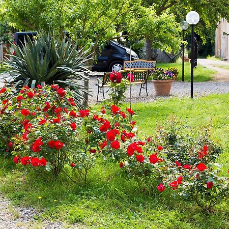 Fattoria Il Casone Ξενοδοχείο Monteriggioni Εξωτερικό φωτογραφία