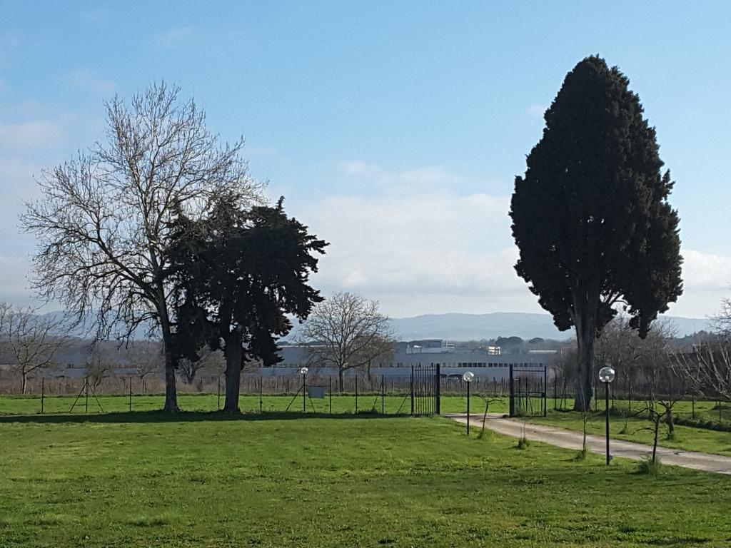 Fattoria Il Casone Ξενοδοχείο Monteriggioni Εξωτερικό φωτογραφία